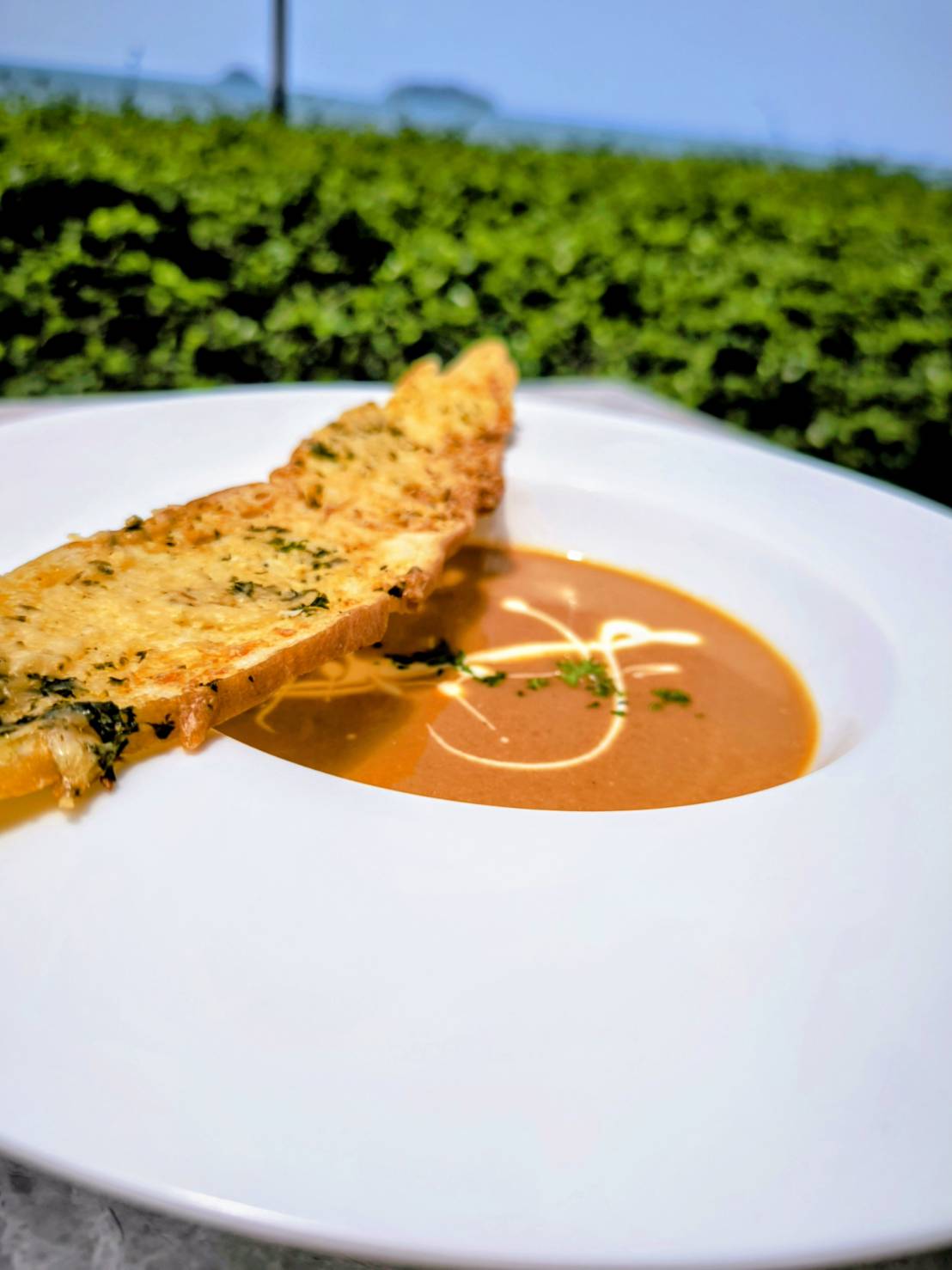 Classic Creamy Lobster Soup